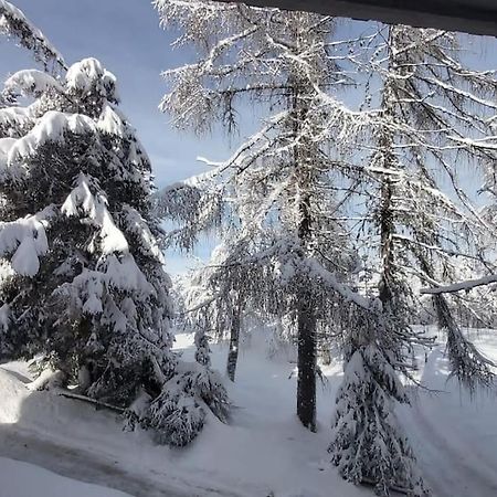 Ferienwohnung Trento, Monte Bondone, Casa Tipica Di Montagna Norge Exterior foto